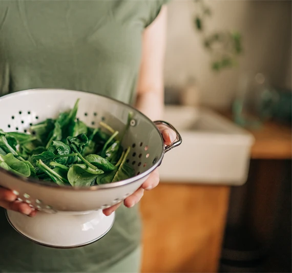 Ett par kvinnohänder håller ett durkslag med färsk spenat.