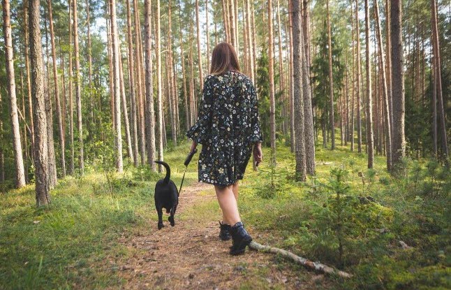 En kvinna går med en hund i skogen.
