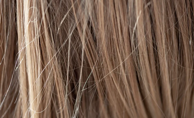 Närbild på ett blont hår.