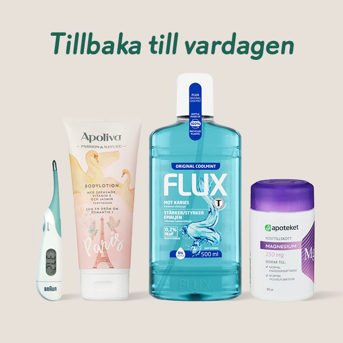 Tillbaka till vardagen