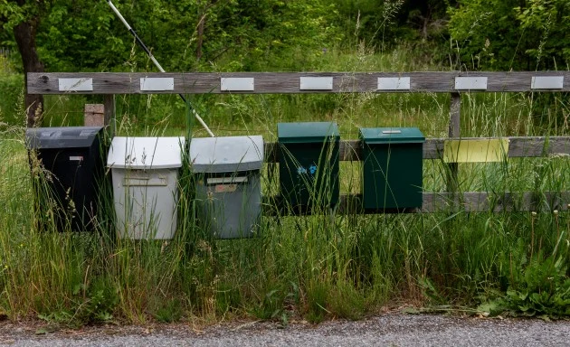 Fem brevlådor som hänger på rad.