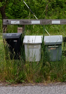 Fem brevlådor som hänger på rad.