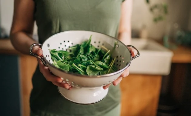 Ett par kvinnohänder håller ett durkslag med färsk spenat.